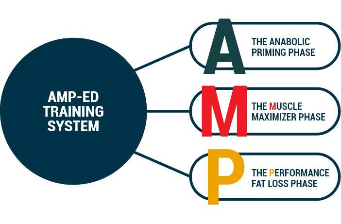 AMP_Training_System