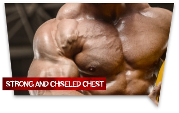 strong & chiseledd_chest