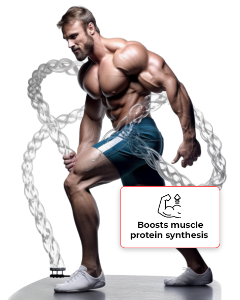boosts-msucle-protien