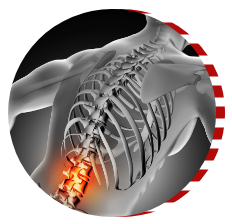 spinal-injuries